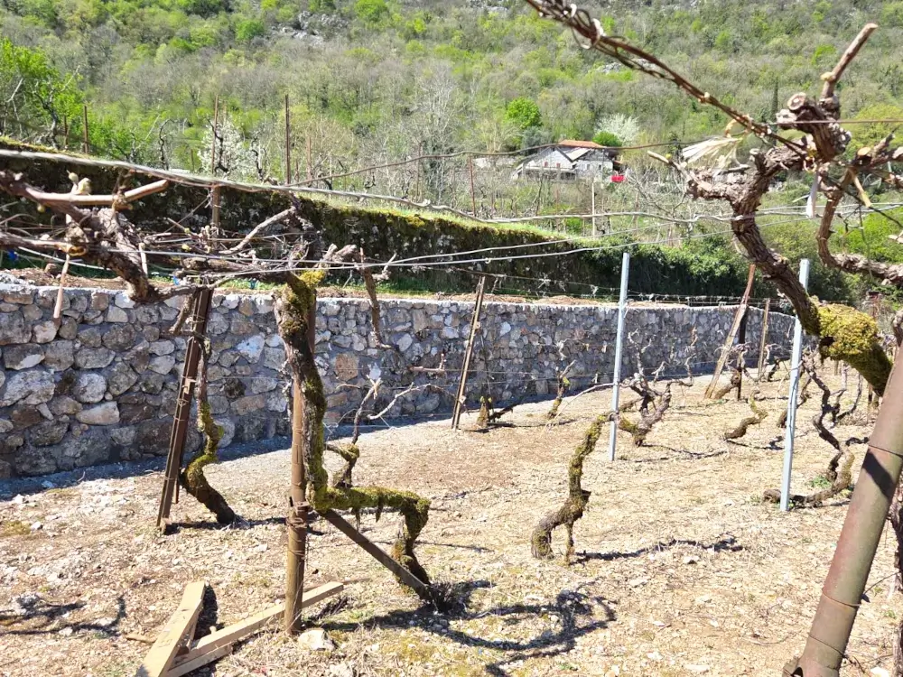 Support Wall Repairs in Cetinje